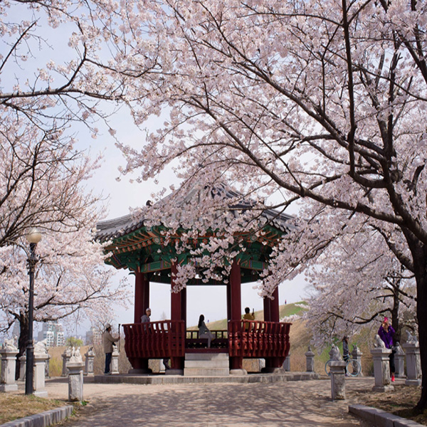 TOUR HÀN QUỐC 2023: Mùa Xuân Ở Xứ Sở Kim Chi (SEOUL - ĐẢO NAMI - EVERLAND - NAMSAN)