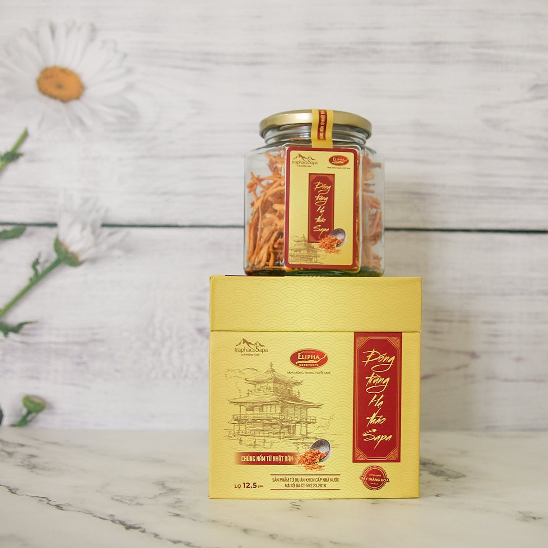 Đông Trùng Hạ Thảo Sapa Khô Sấy Thăng Hoa 12,5G